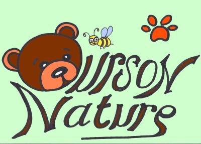 Ourson Nature